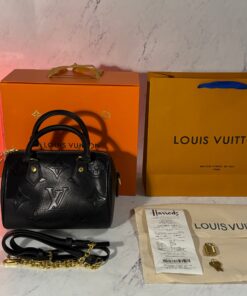 LV SPEEDY 20 HANDBAG