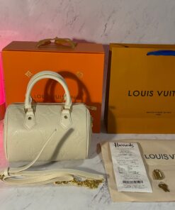 LV SPEEDY 20 HANDBAG