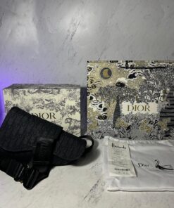 DIOR SADDLE BAG