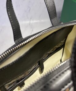 Alternative view of GOYARD CISAPLIN BACKPACK (5 COLOURS)